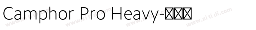 Camphor Pro Heavy字体转换